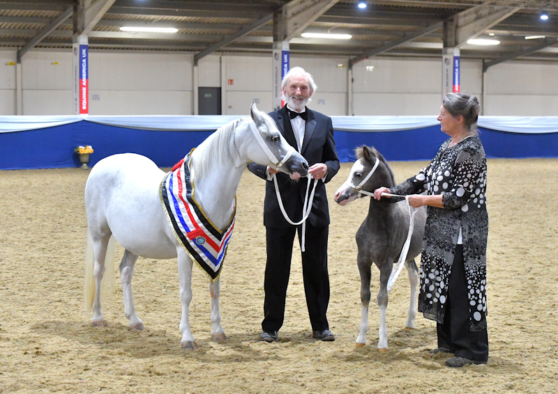 Equine Sports UK The UK's largest Unaffiliated Equine Championships